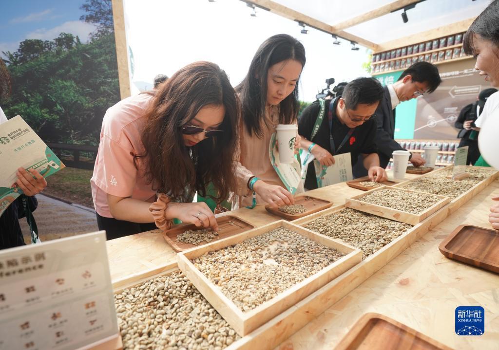 云顶娱乐app免费下载